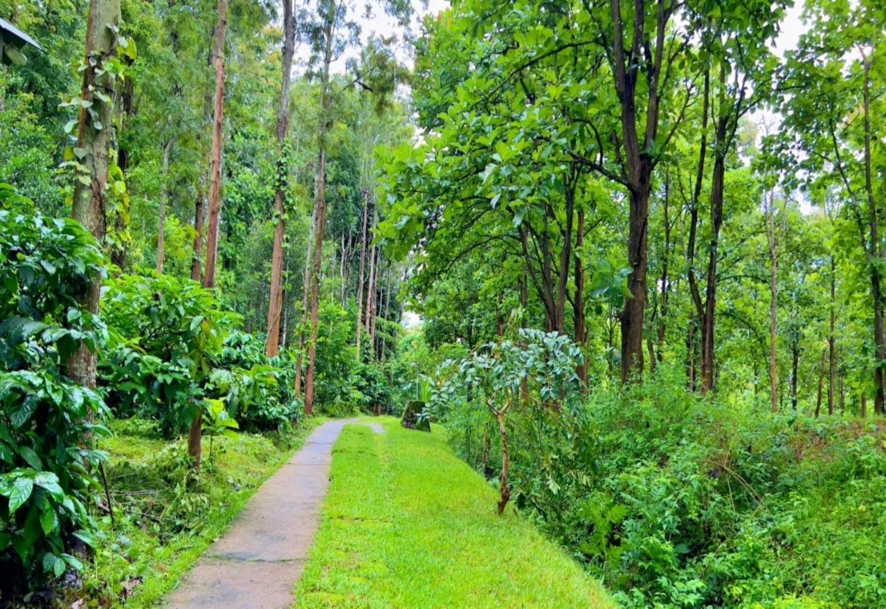 Adrak Mountain Mist Forest Resort Pulpally Εξωτερικό φωτογραφία