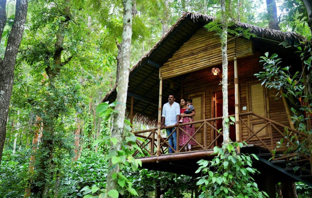 Adrak Mountain Mist Forest Resort Pulpally Εξωτερικό φωτογραφία