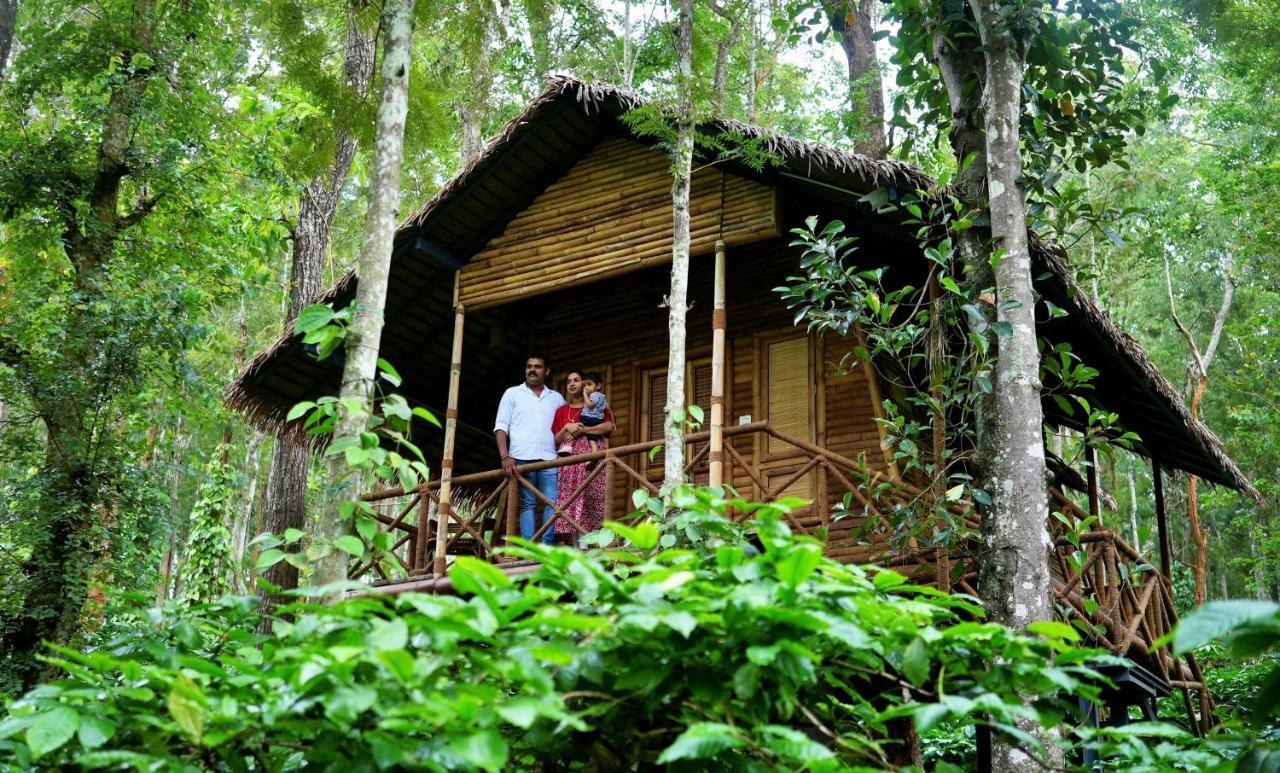 Adrak Mountain Mist Forest Resort Pulpally Εξωτερικό φωτογραφία
