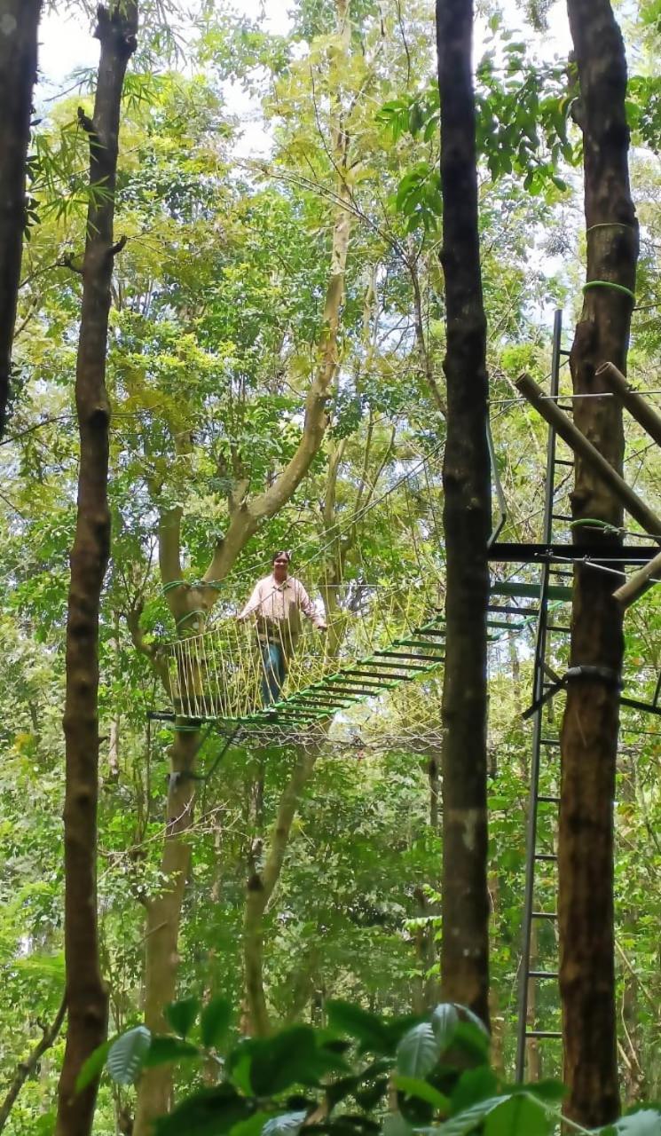Adrak Mountain Mist Forest Resort Pulpally Εξωτερικό φωτογραφία